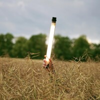 Campwerk Lampada da campeggio LED RGB con Powerbank IP68